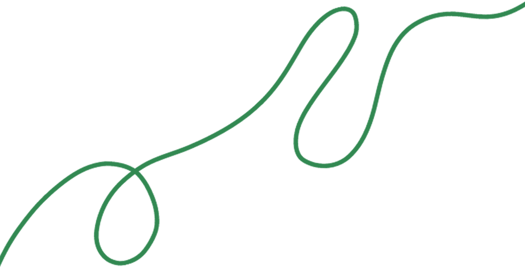 Zigouigouis Vert1
